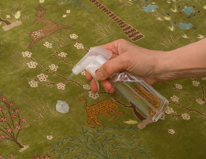 how_to_remove_gum_from_carpet